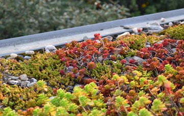 the cost of Whitewell Bottom green roof installation