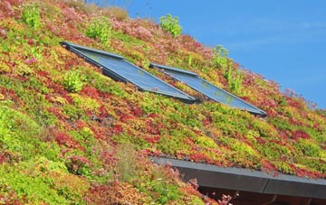 Whitewell Bottom living roof systems
