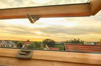 rated Whitewell Bottom roof window companies